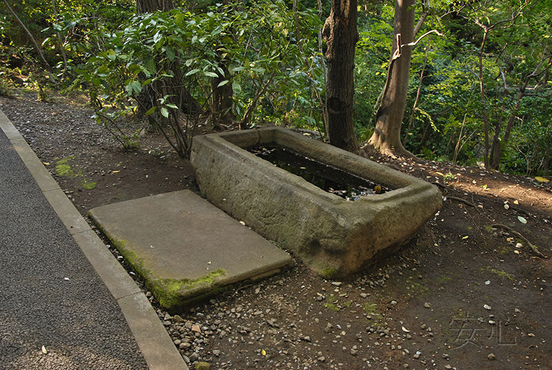 Nezu Museum Garden