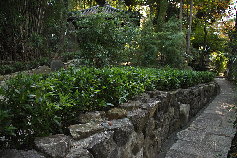 Nezu Museum Garden