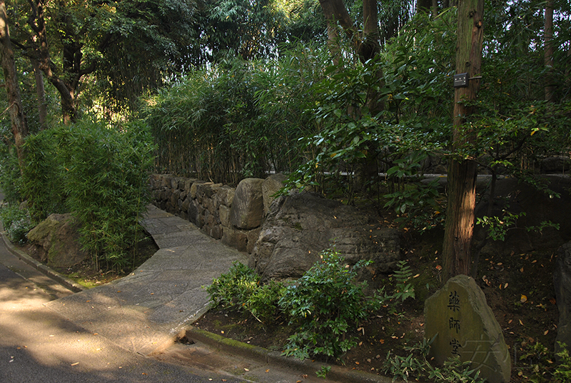 Nezu Museum Garden