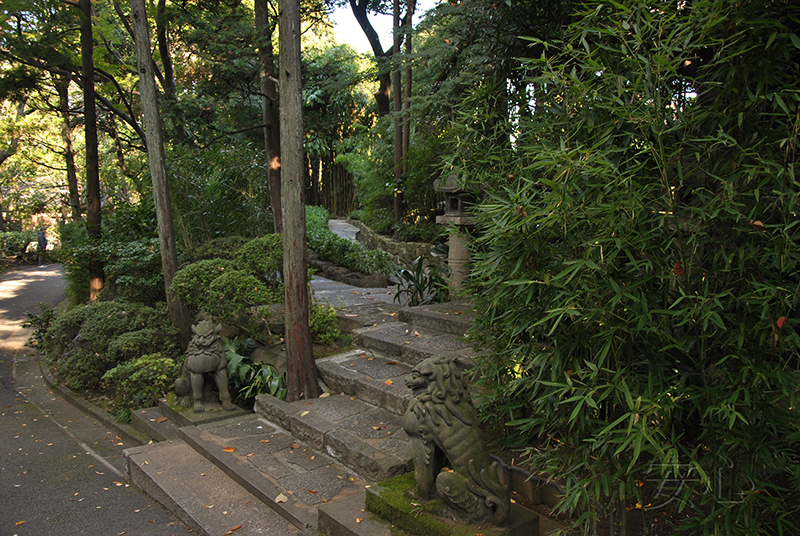 Nezu Museum Garden