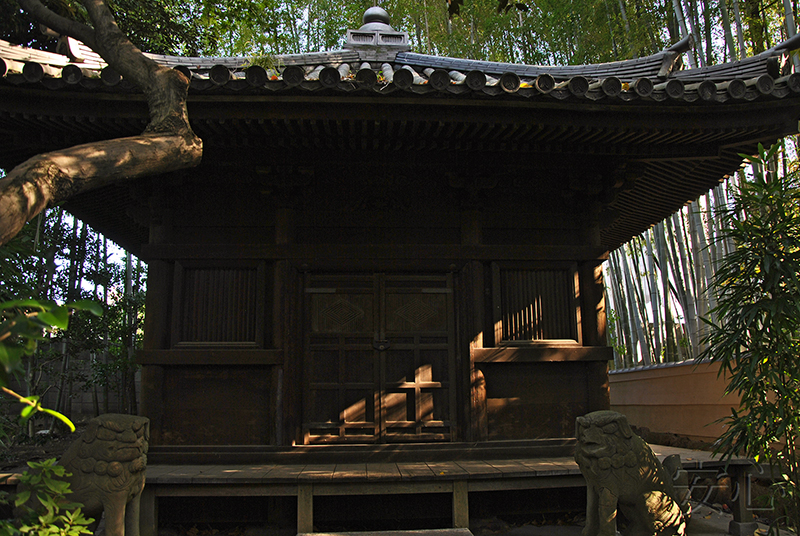 Nezu Museum Garden