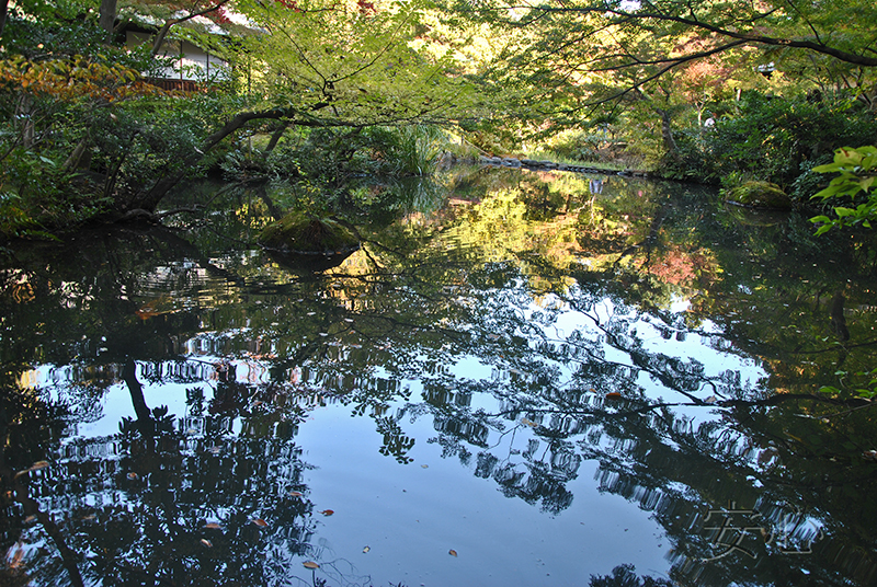 Nezu Museum Garden