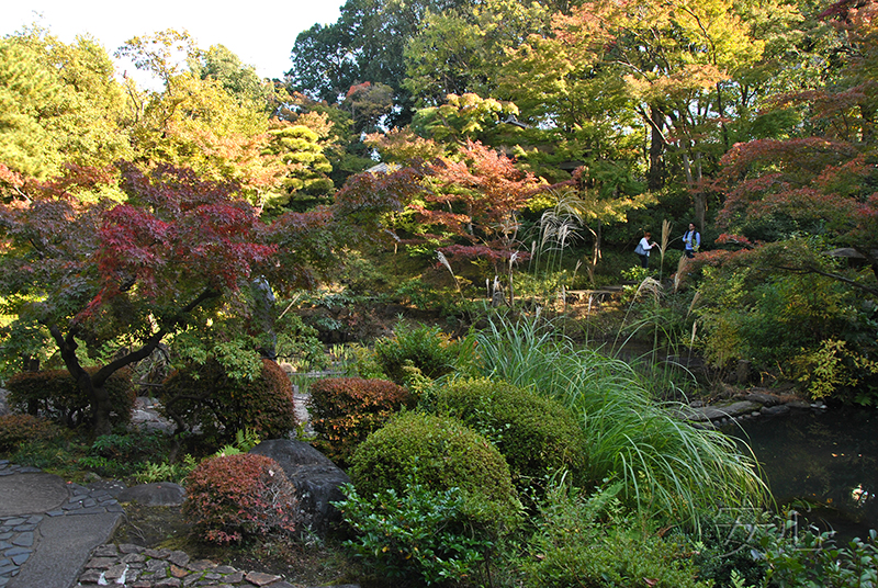 Nezu Museum Garden