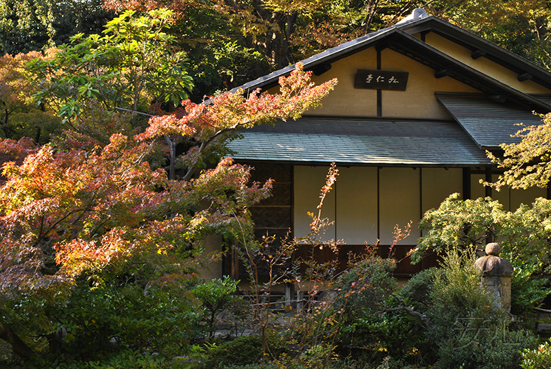 Nezu Museum Garden