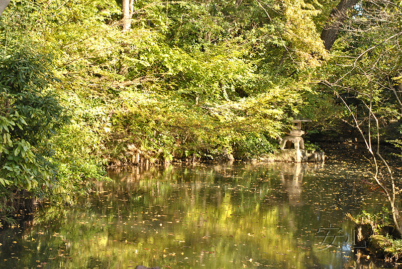 Nezu Museum Garden