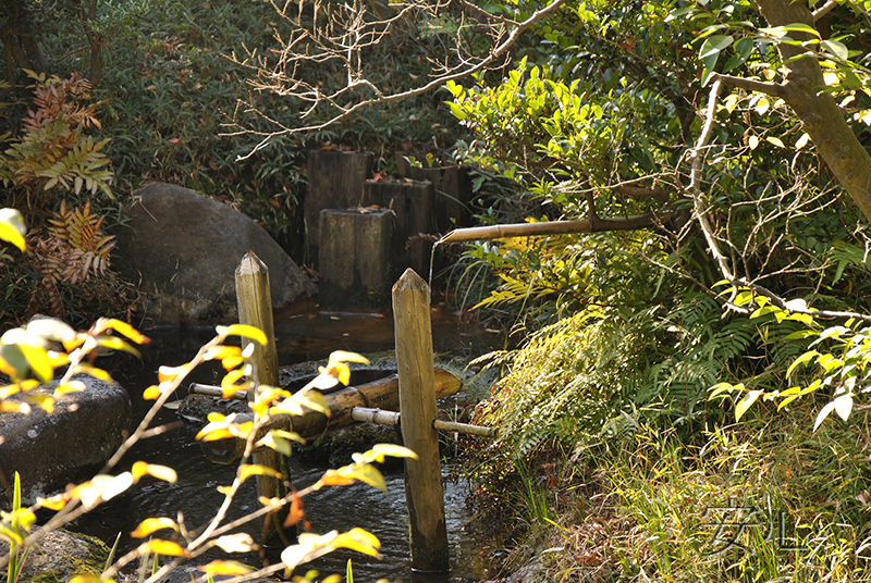 Nezu Museum Garden