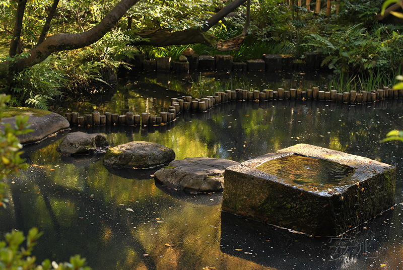 Nezu Museum Garden