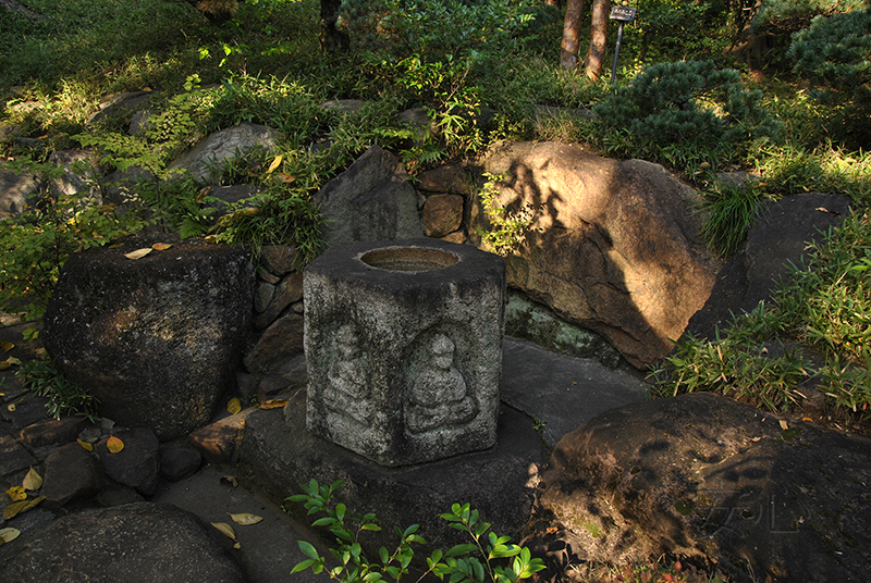 Nezu Museum Garden