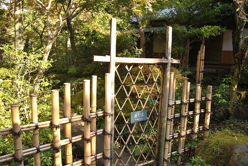 Nezu Museum Garden