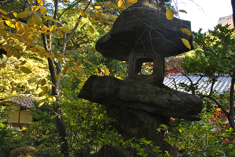 Nezu Museum Garden