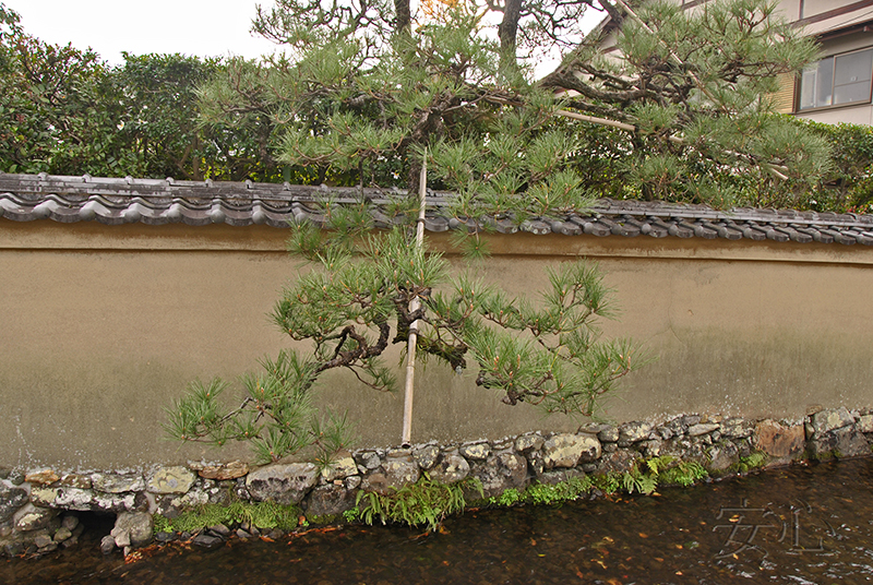 Nishimura Villa Garden