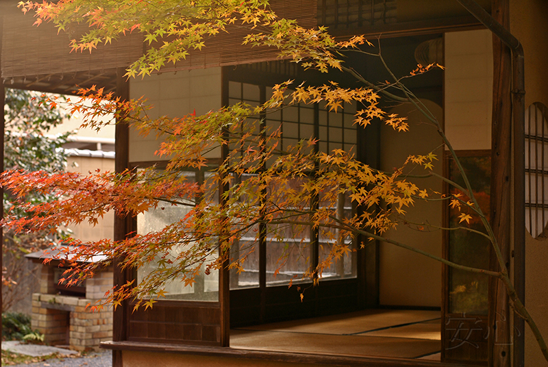 Nishimura Villa Garden