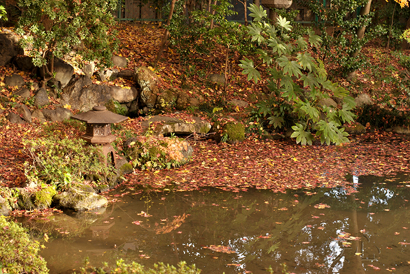 Nishimura Villa Garden