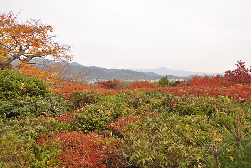 Okochi Sanso Garden