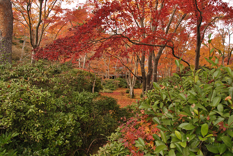 Okochi Sanso Garden