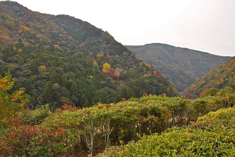 Okochi Sanso Garden