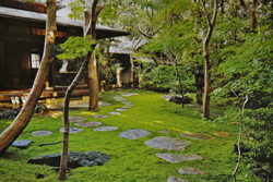 Segawa House