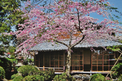 Yabashi House