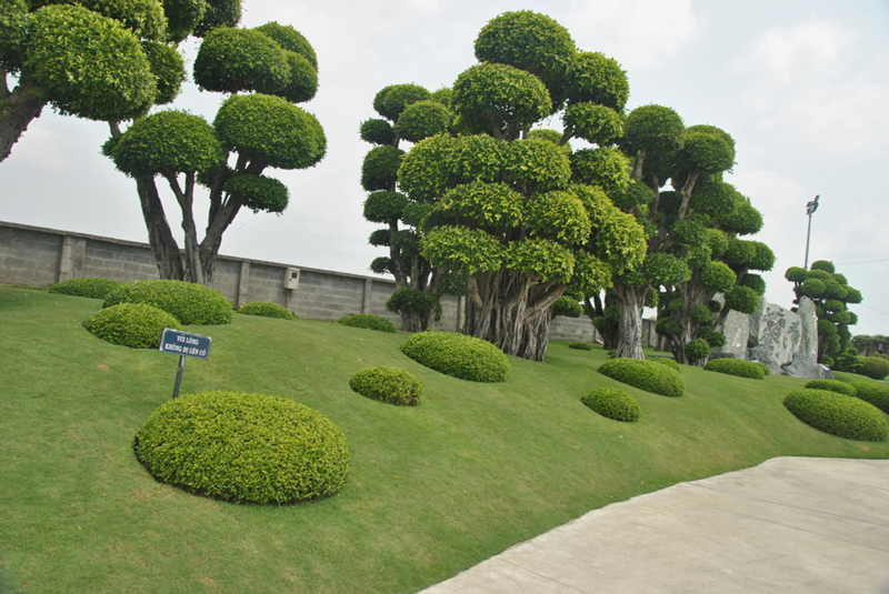 The Japanese Garden in Ho Chi Minh City