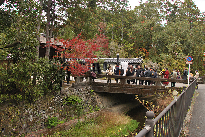 Saiho-ji garden