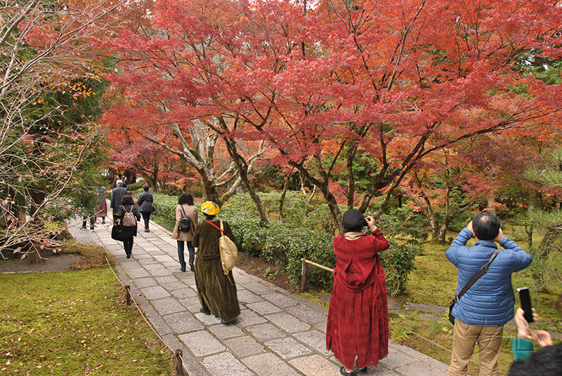 Saiho-ji garden