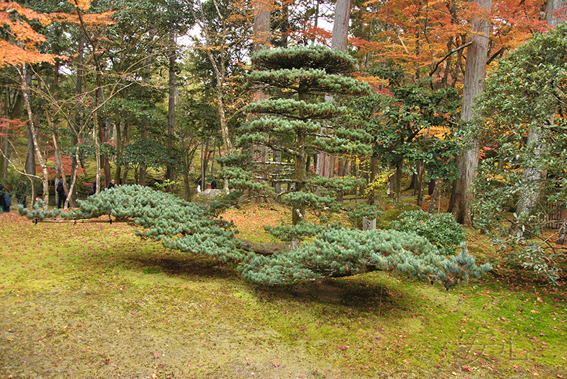 Saiho-ji garden