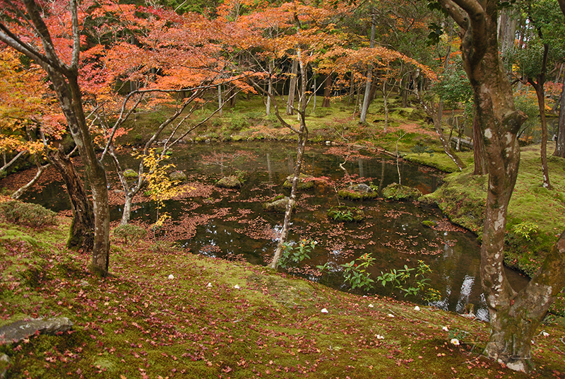 Saiho-ji garden