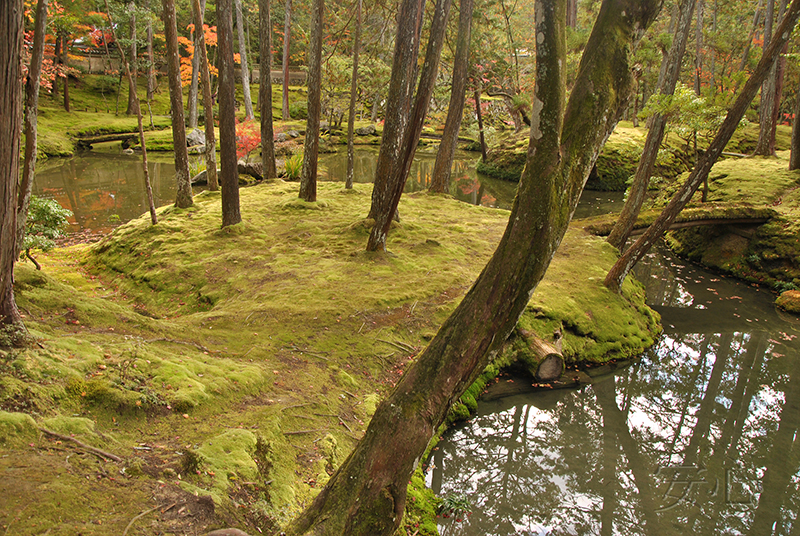 Saiho-ji garden