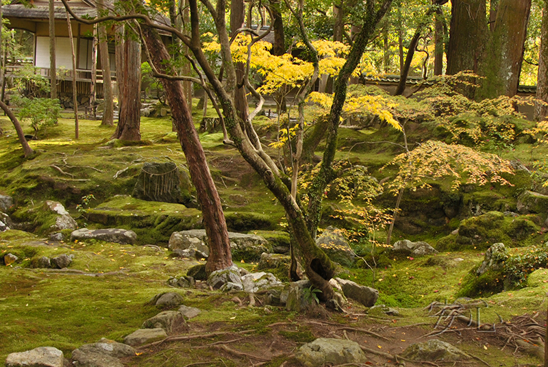 Saiho-ji garden