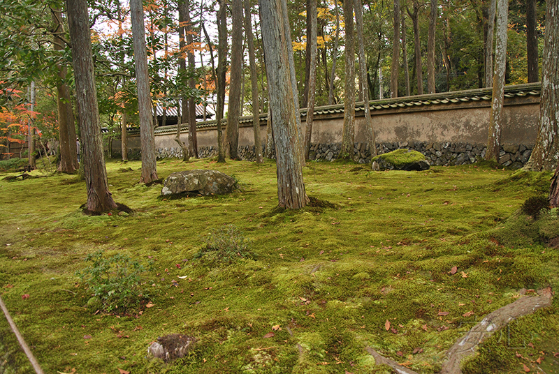 Saiho-ji garden