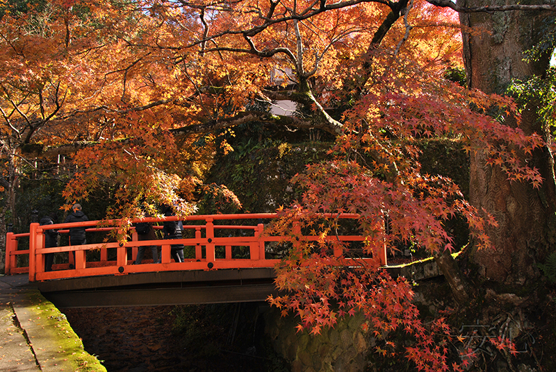 Sanzen-in temple gardens