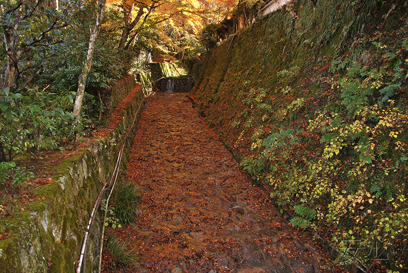 Sanzen-in temple gardens