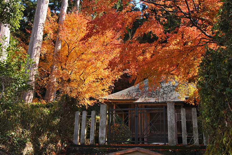 Sanzen-in temple gardens