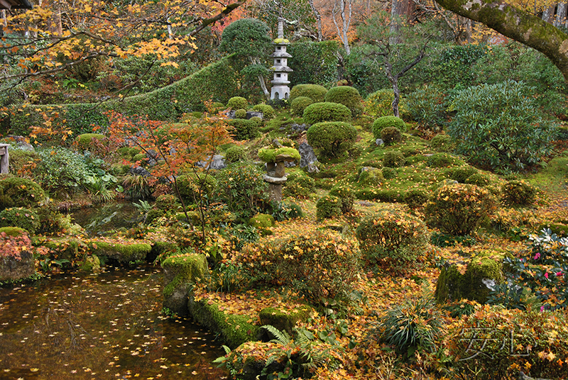 Sanzen-in temple gardens