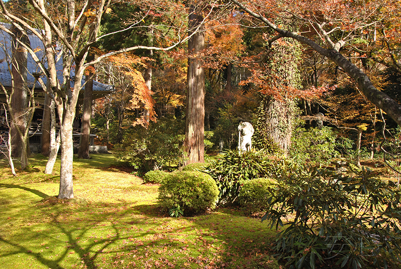 Sanzen-in temple gardens