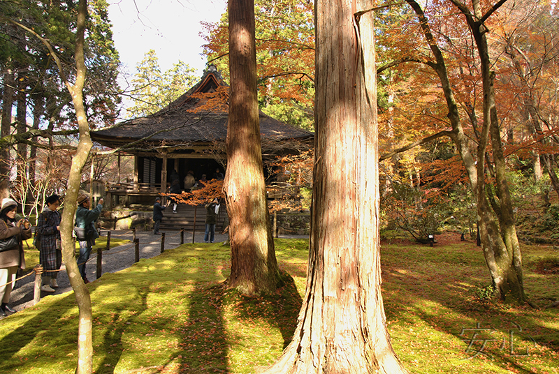 Sanzen-in temple gardens