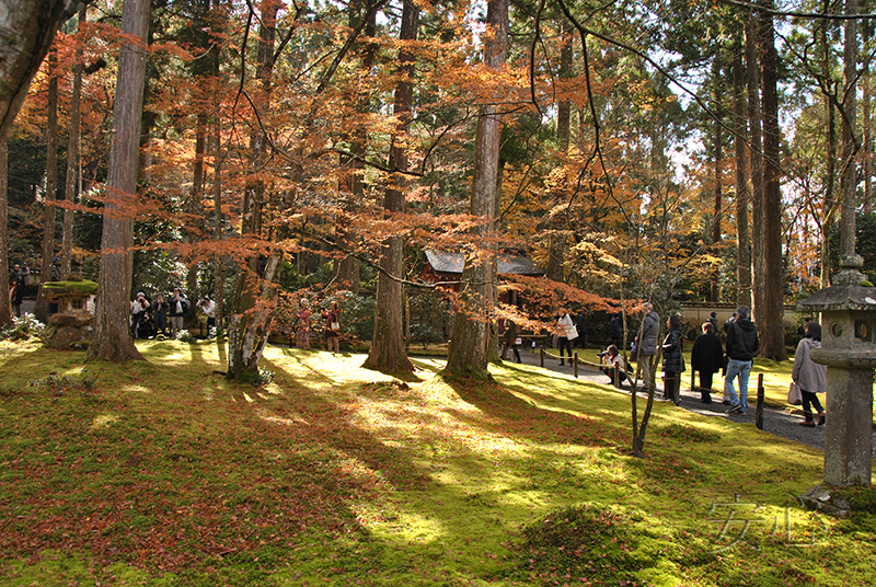 Sanzen-in temple gardens