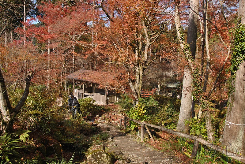 Sanzen-in temple gardens