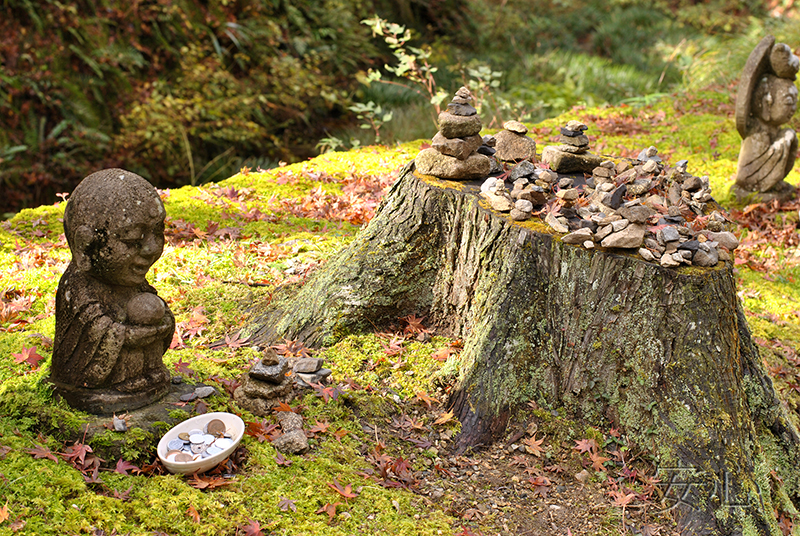 Sanzen-in temple gardens