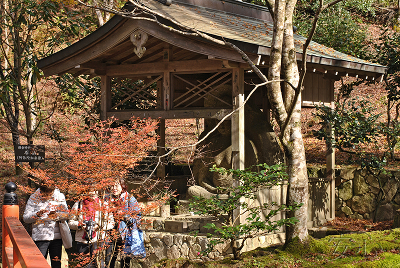 Sanzen-in temple gardens