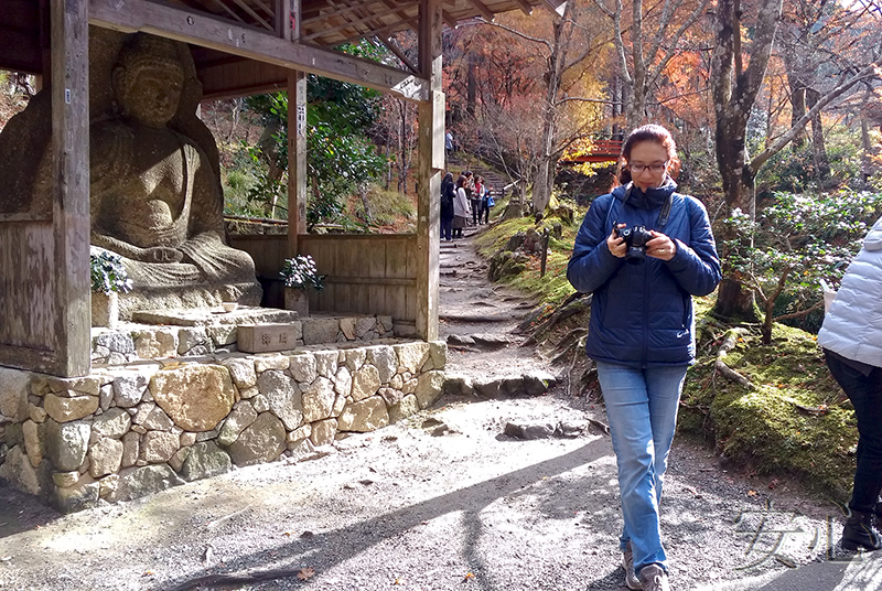 Sanzen-in temple gardens