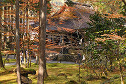 Сады храма Сандзэн-ин