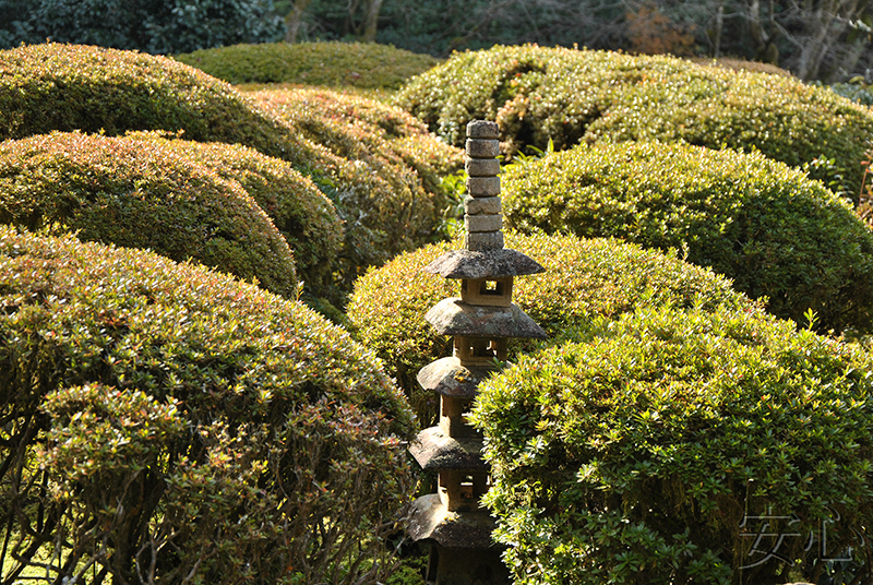 Shisen-do Garden