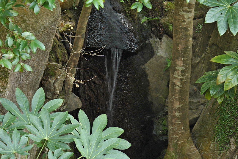 Shisen-do Garden