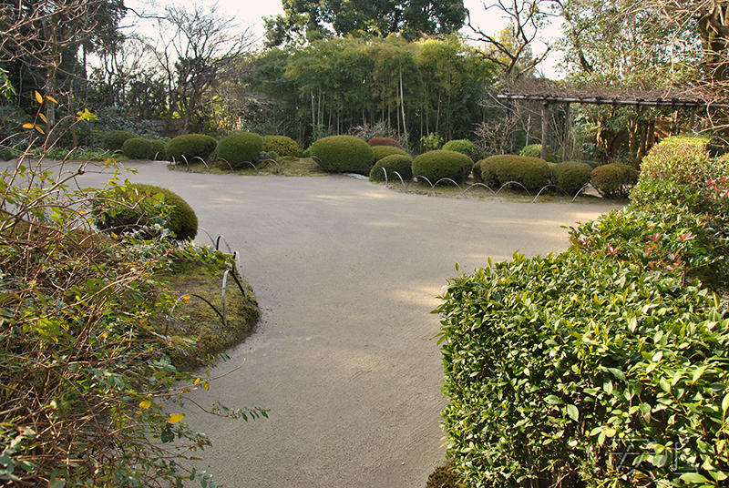 Shisen-do Garden