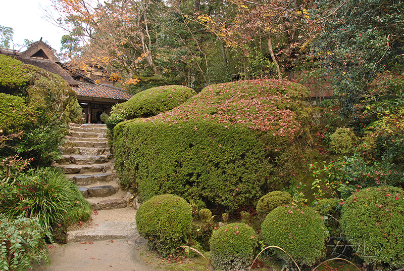 Shisen-do Garden