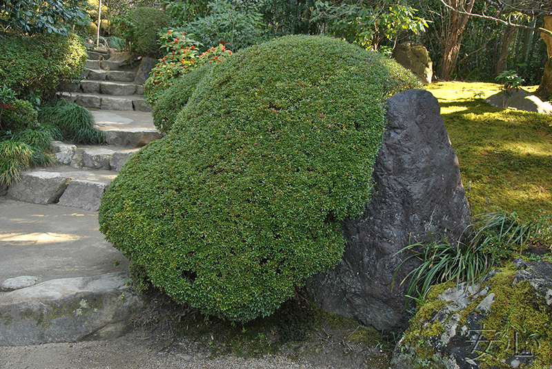 Shisen-do Garden