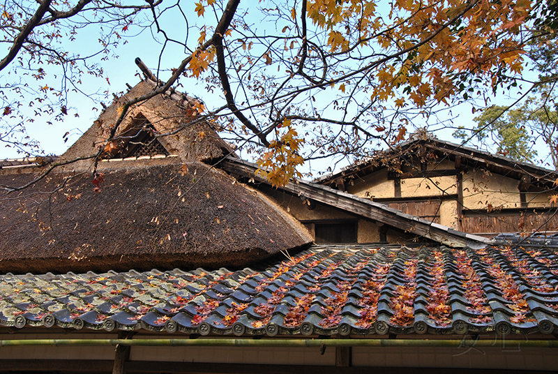 Shisen-do Garden