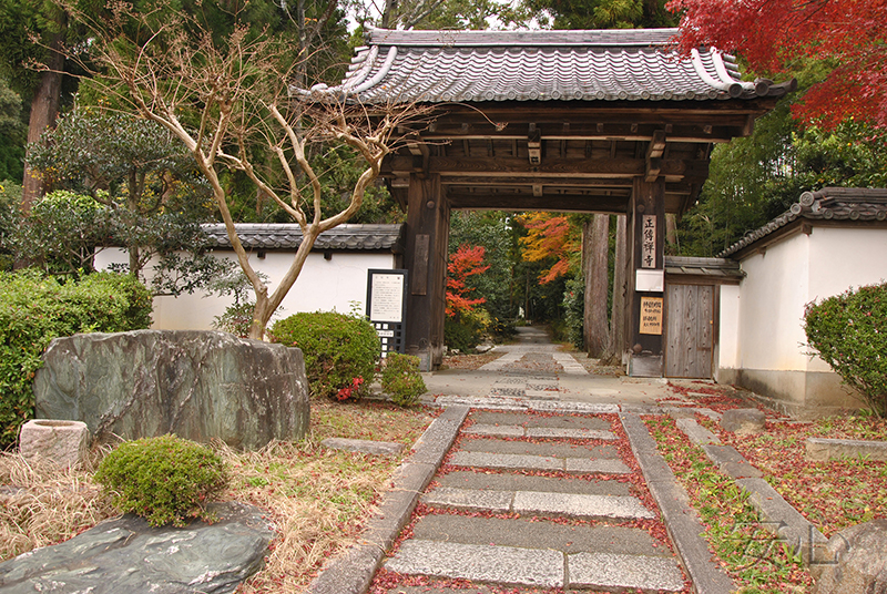 Shodenji Temple gardens