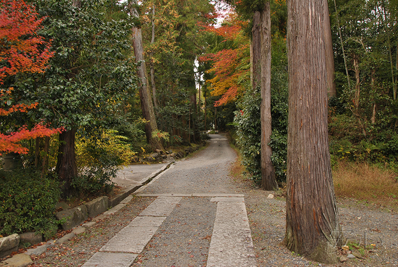 Shodenji Temple gardens